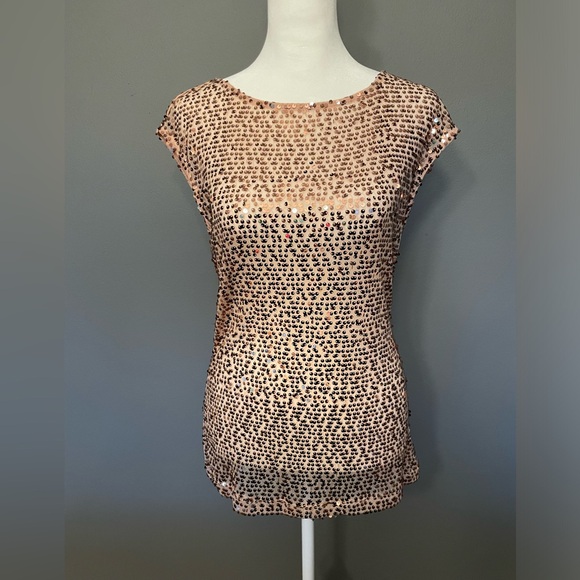 LIMITED Pink Sequin Sheer Sleeveless Blouse / Tunic - Size Small - Picture 10 of 16